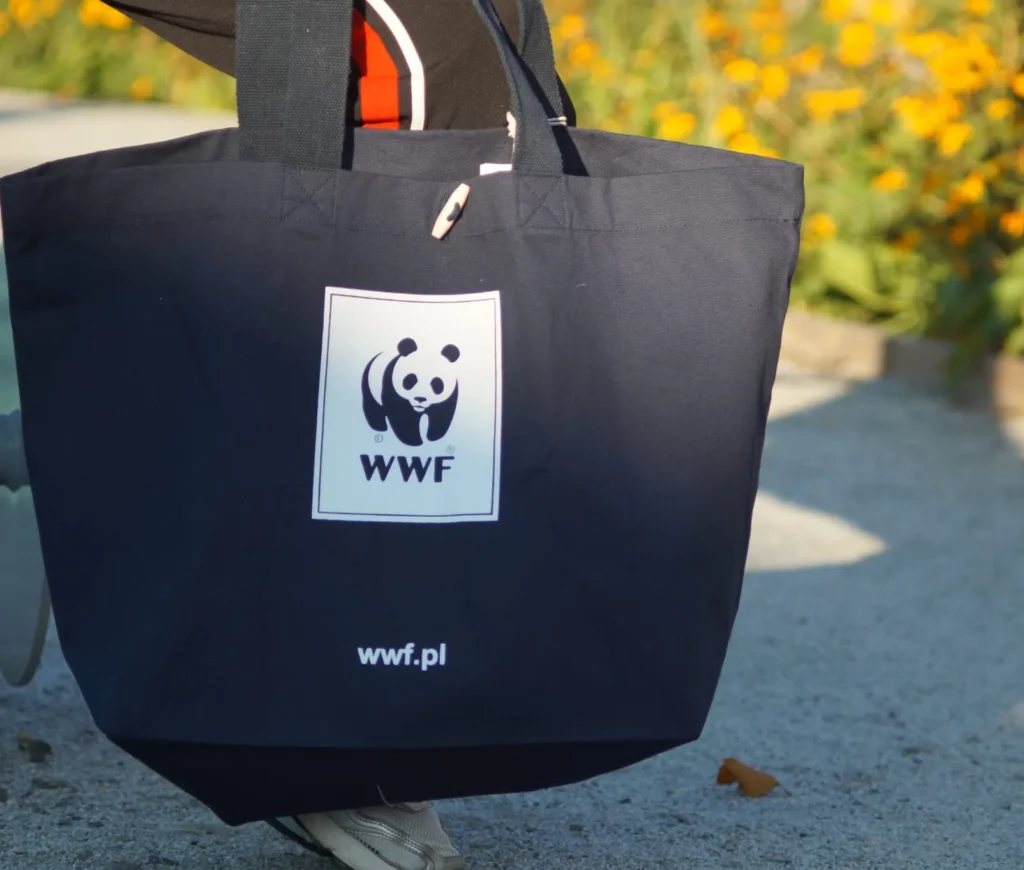 Raportowanie ESG i dyrektywa CSRD: Dlaczego torby reklamowe z nadrukiem to bezpieczny wybór dla Twojej firmy? 3 Torba Bawelniana z Nadrukiem EvergreenBags 177 21 e1781028262676